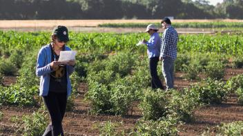 Student working in the field.