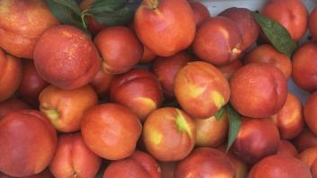 Peaches